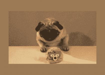 Pugglez™ Goes West (My Worst Y™ND Ever) Pugglez™ Goes West (My Worst Y™ND Ever)