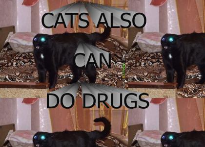 Cats also can do drugs