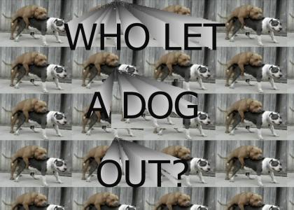 Who Let A Dog Out?