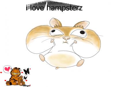 Hamster Slam