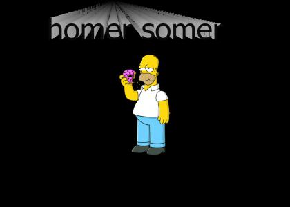 Homer the Somer Homer the Somer
