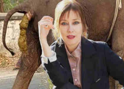 (nsfw) The Mother of the MP3 Suzanne Vega pays respect to elephant feces