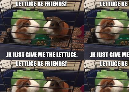 I just want your lettuce