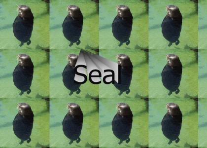 seal