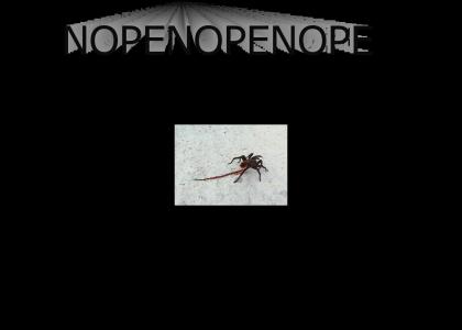 NOPENOPENOPENOPE