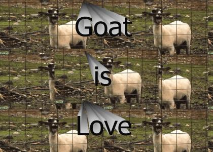 Goat is Love