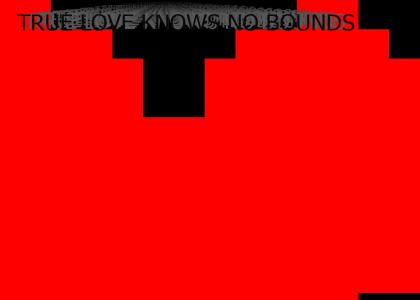 the biggest love in history