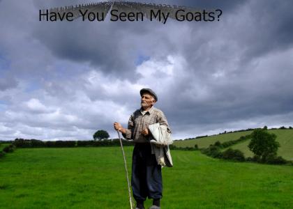 Have You Seen My Goats?