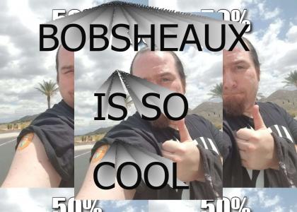 50% Bobsheaux