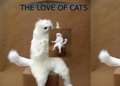 Art Made In The Love Of Cats