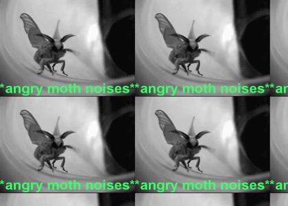 angry dr. moth