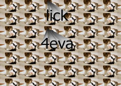Cats are very hot p2