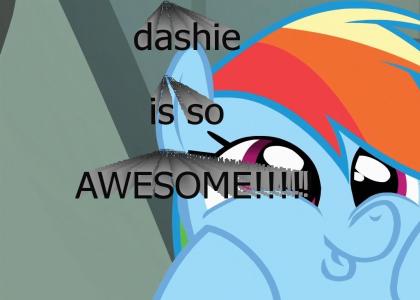 dashie is awesome