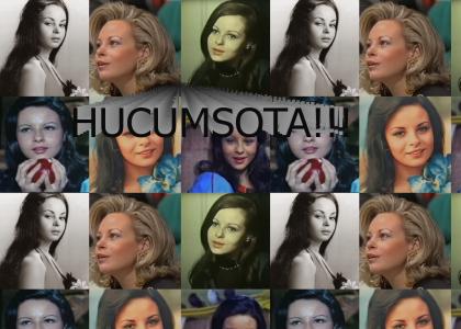 Hucumsota in a NUTSHELL