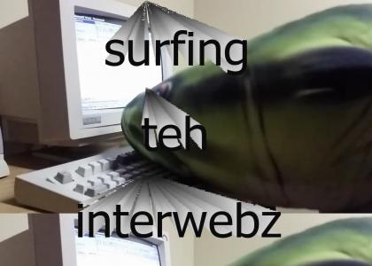 surfing teh interwebz