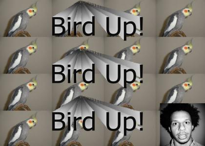 Bird Up!