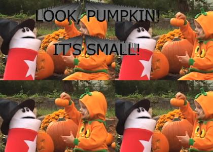 Look, pumpkin!
