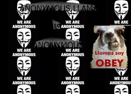 anonymous llama is anonymous