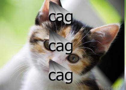 cag