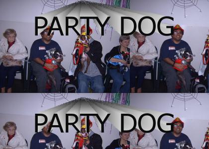 Party Dog