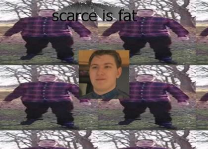 scarce is a fatty fat fat news reporter