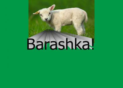 Barashka