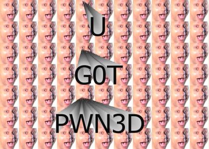 YOU GOT PWNED YOU GOT PWNED
