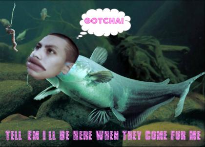 TommyCatFish