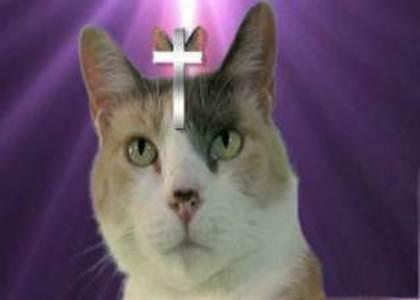 The Lord's Chosen Cat