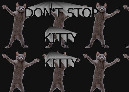 Don't Stop Kitty Kitty