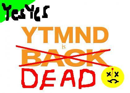 YesYes: YTMND is Back