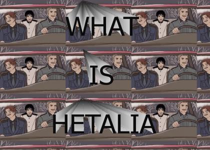 What is Hetalia? (FIRST YTMND))