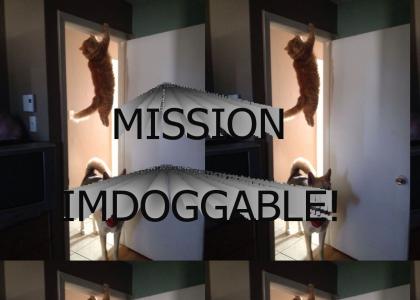 Mission Imdoggable