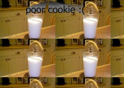 Poor cookie