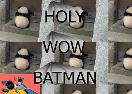 Holy Wow Batman