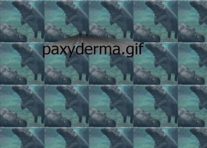 paxyderma.mid paxyderma.mid