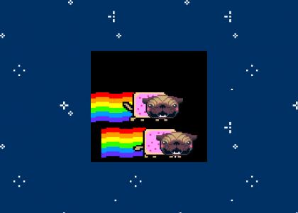 Nyan Pugs