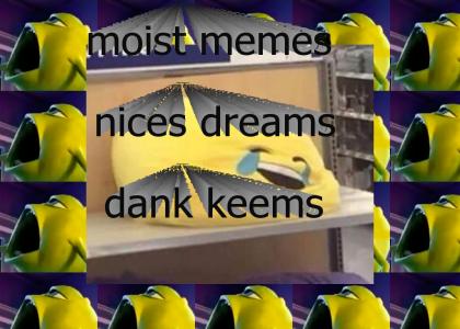 dank memes