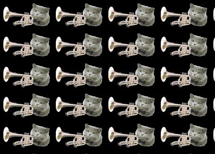 NEDM cat trumpet