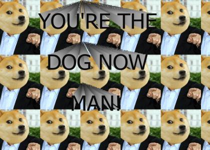 You're the dog now man! (Doge)