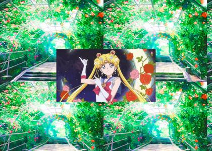 Sailor Moon's wicked garden