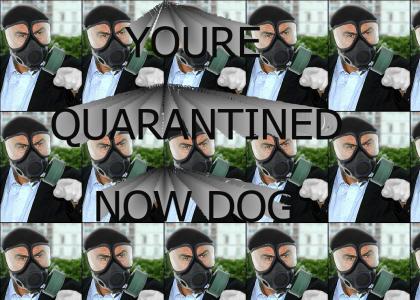 You're Quarantined Now Dog