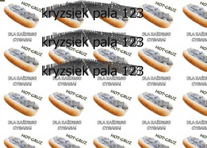 krzysiektopala123