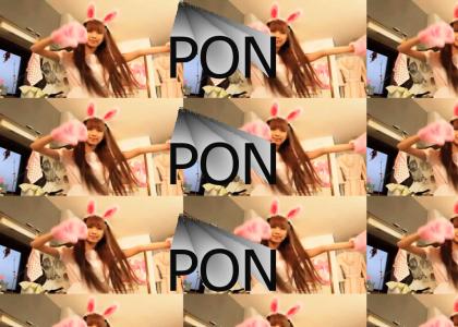 PONPONPON