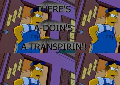 There's a-doin's a-transpirin'!