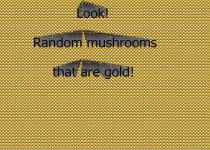 Random Golden Mushrooms