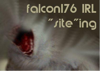 falcon176 IRL "site"ing