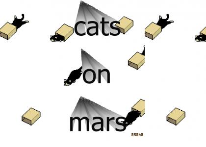 cats on mars 2020