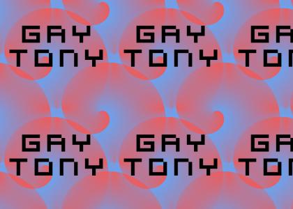 GAY TONY!!