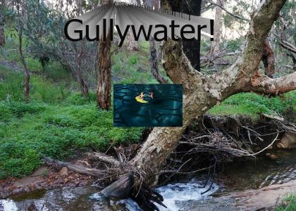Gullywater